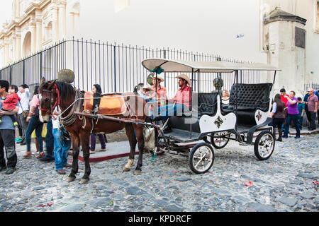 ANTIGUA, GUATEMALA-DEC 25, 2015 : : transport de chevaux dans la vieille ville d'Antigua, le Dec 26, 2015, au Guatemala. Banque D'Images