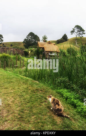 Hobbiton mill avec cat Banque D'Images