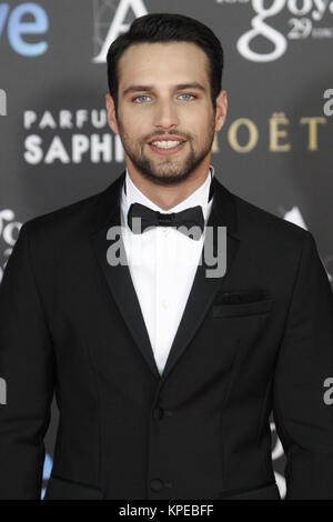 MADRID, ESPAGNE - 7 février : Jésus Castro assiste à la Goya Film Awards au Prince Felipe Centre des congrès de Madrid, le 7 février, 2015 personnes : Jésus Castro Banque D'Images