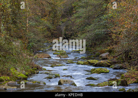 Bodetal im Herbst Harz Banque D'Images