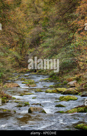 Bodetal im Herbst Harz Banque D'Images
