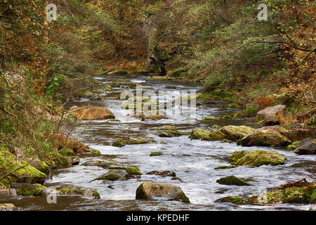 Bodetal im Herbst Harz Banque D'Images