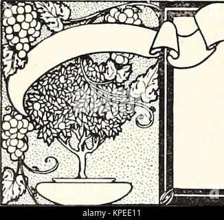 'Révisé, illustré et descriptif du catalogue arbres arbustes fruitiers et ornementaux, les roses, les bulbes, les plantes à bulbe, de raisins, de petits fruits, etc." (1916)