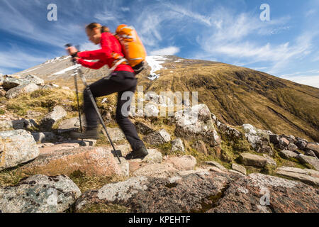 Jolie, female hiker descentes en lumière chaude soirée Banque D'Images