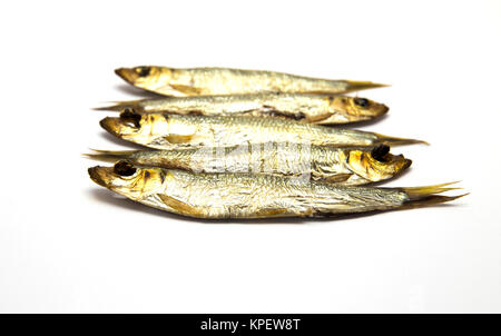 Plusieurs européens fumé Anchois (Sprattus sprattus) Banque D'Images