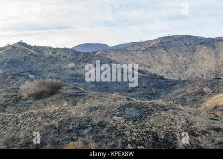 Les pentes brûlées et sec dans le sud de la Californie à des feux de forêt Banque D'Images