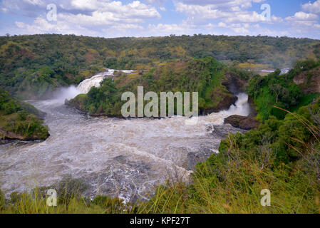 L'Ouganda est appelée la "perle de l'Afrique" à cause de ses beaux paysages, des gens accueillants, et l'abondance de pluie. Murchison Falls Banque D'Images