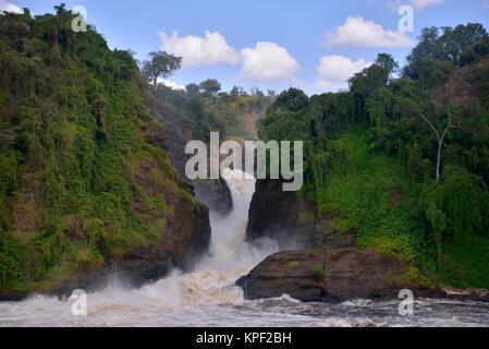 L'Ouganda est appelée la "perle de l'Afrique" à cause de ses beaux paysages, des gens accueillants, et l'abondance de pluie. Murchison Falls Banque D'Images