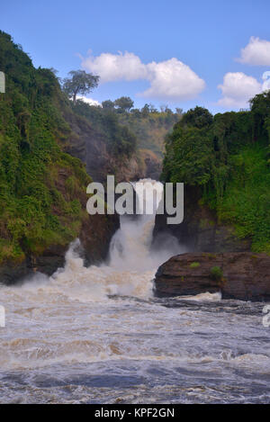 L'Ouganda est appelée la "perle de l'Afrique" à cause de ses beaux paysages, des gens accueillants, et l'abondance de pluie. Murchison Falls Banque D'Images