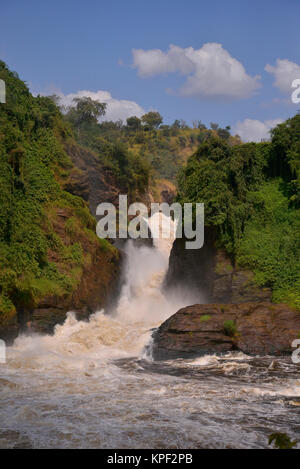 L'Ouganda est appelée la "perle de l'Afrique" à cause de ses beaux paysages, des gens accueillants, et l'abondance de pluie. Murchison Falls Banque D'Images