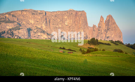 Montagne Schlern dans la lumière du matin, l'Alpe di Siusi, le Tyrol du Sud, Italie Banque D'Images