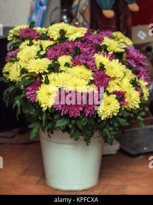 Joli bouquet de chrysanthèmes jaunes et pourpres dans la benne Banque D'Images