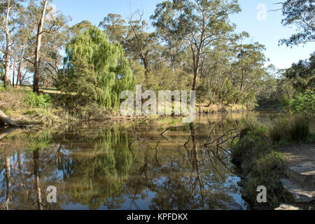 La Rivière Yarra au Jumping Creek, North Warrandyte, Victoria, Australie Banque D'Images