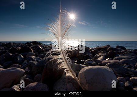 Printemps permanent sur la plage rocheuse de la mer Baltique dans le soleil en contre-jour le soleil clair. star soleil et ciel bleu avec des reflets dans l'eau de mer. Banque D'Images