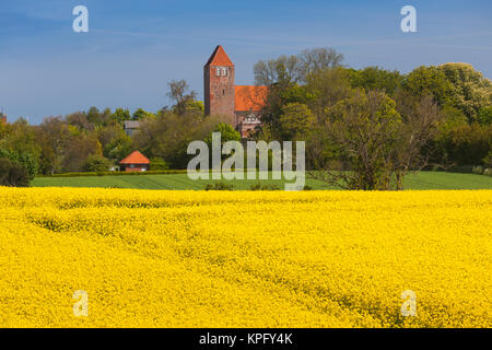 Le Danemark, Mon, Magleby, église du village et champ de colza, printemps, aube Banque D'Images