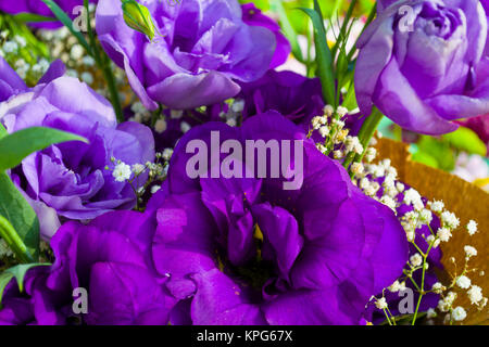 Les tulipes et les roses de couleur bleue dans étrange bouquet joyeux Banque D'Images