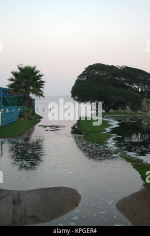 La marée haute à un caravan park, Hermanus, Afrique du Sud Banque D'Images