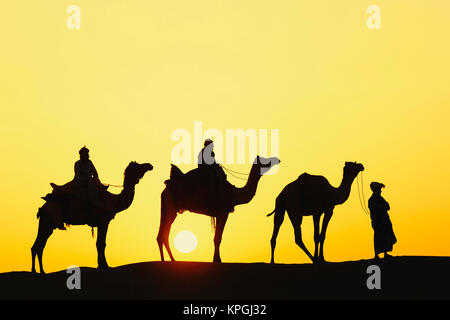 Les chameaux et chamelier silhouetté au coucher du soleil, désert du Thar, Jodhpur, Inde. Banque D'Images