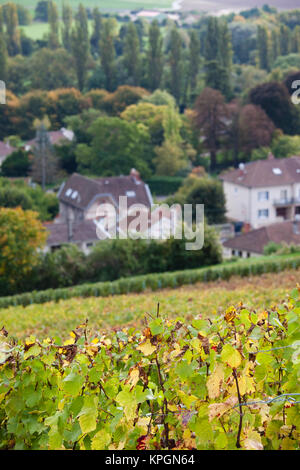 France, Marne, Champagne Ardenne, d'Avenay Val-d'Or, ville sommaire Banque D'Images
