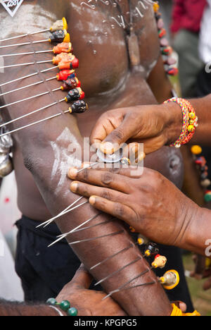 Singapour - Le 30 janvier : Piercings fait pour corps de fidèles au cours de l'assemblée annuelle Thaipusam rituels festival prises le 30 janvier 2010 à Singapour. Banque D'Images