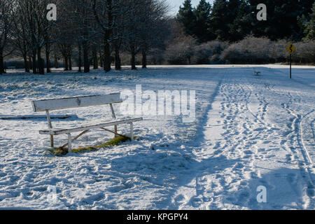 La neige et le gel dans le Phoenix Park de Dublin sur un beau matin d'hiver du premier jour de la Nouvelle Année 2010 Banque D'Images