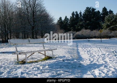 La neige et le gel dans le Phoenix Park de Dublin sur un beau matin d'hiver du premier jour de la Nouvelle Année 2010 Banque D'Images