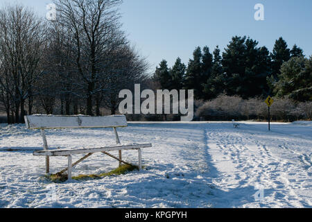 La neige et le gel dans le Phoenix Park de Dublin sur un beau matin d'hiver du premier jour de la Nouvelle Année 2010 Banque D'Images