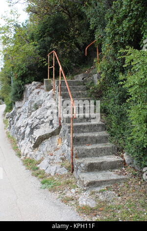 Marches creusées dans la pierre et couverts de béton à côté de la main courante complètement rouillé route pavée et l'herbe non coupée menant à forest Banque D'Images