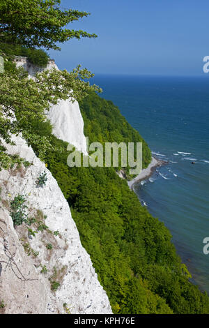 Avis sur "Koenigsstuhl (président) des rois de craie au parc national de Jasmund, Ruegen island, Mecklembourg-Poméranie-Occidentale, Mer Baltique, Allemagne Banque D'Images