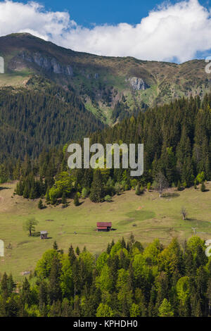 Roumanie, le Maramures, région parc national des Monts Rodna, Col Prislop, paysage Banque D'Images