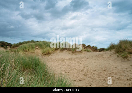 Dunes de sable et la plage, Camber Sands, carrossage, près de Rye, East Sussex, Royaume-Uni Banque D'Images