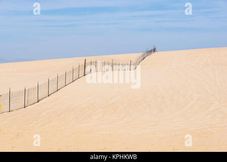 États-unis, Californie, Oso Flaco State Park, qui fait partie d'Oceano Dunes (construite par des véhicules de l'état Zone de Loisirs) Banque D'Images