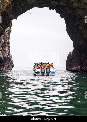 Paracas, Pérou - 15 octobre 2014 : excursion en bateau autour de l'Islas Ballestas Parc national. Banque D'Images