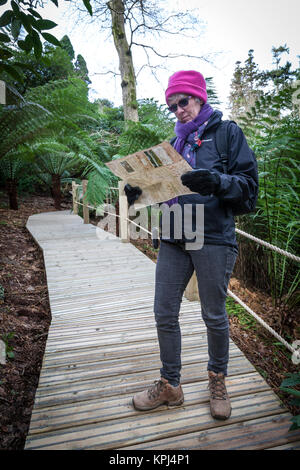 Vérifiez la carte touriste tout en marchant à travers la jungle au jardin Heligan Cornwall. Banque D'Images