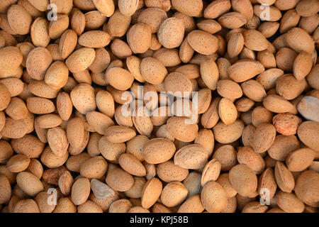 Les amandes avant de les peler. Les amandes dans un panier deux mois après la récolte Banque D'Images