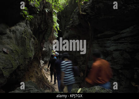 Chemin à travers les grottes calcaires, Baratang island, îles Andaman, en Inde Banque D'Images