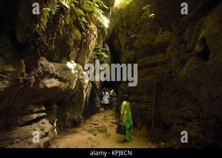 Chemin à travers les grottes calcaires, Baratang island, îles Andaman, en Inde Banque D'Images