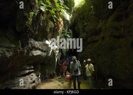 Chemin à travers les grottes calcaires, Baratang island, îles Andaman, en Inde Banque D'Images