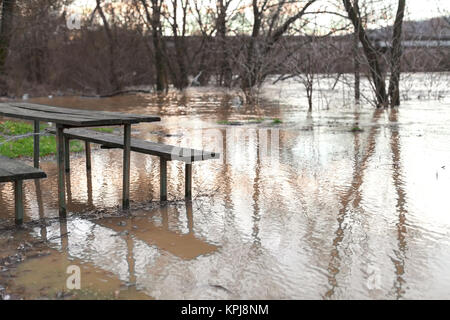 La rivière après les averses sont sortis des banques. L'inondation de rivière, arbres après une inondation Banque D'Images