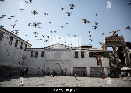 Damas, Syrie. 28 Oct, 2017. Les pigeons à l'extérieur de la Mosquée Omeyyade à disperser le son des bombardements dans la banlieue de Jobar assiégée à proximité et à l'Est de Ghouta.Malgré le conflit en cours en Syrie, la vie de Damas porte toujours sur relativement pacifique. Damas est la capitale de la Syrie déchirée par la guerre, il est sous contrôle officiel par le gouvernement syrien du président Bachar al-Assad. Credit : Sally Hayden/SOPA/ZUMA/Alamy Fil Live News Banque D'Images