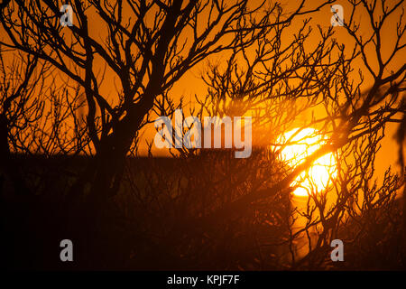 Merton, Londres, Royaume-Uni. 16 Décembre, 2017. Soleil se lève derrière les bâtiments dans le sud ouest de Londres avec frosty clair ciel tôt le matin. Credit : Malcolm Park/Alamy Live News Banque D'Images