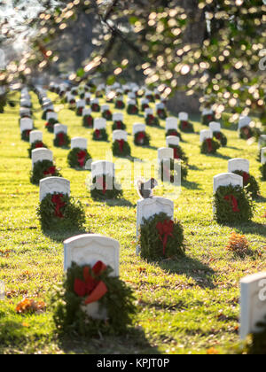 WASHINGTON DC, USA - Le 26 décembre 2015 : une belle polatouche vu entre les tombes des pierres tombales du Cimetière National d'Arlington. Banque D'Images