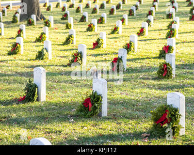 Un écureuil magnifique vu entre les centaines de tombes de l'Arlington National Cemetery Banque D'Images