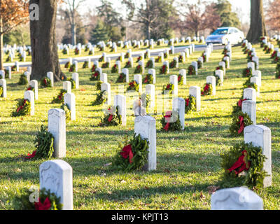 Un écureuil magnifique vu entre les centaines de tombes de l'Arlington National Cemetery Banque D'Images