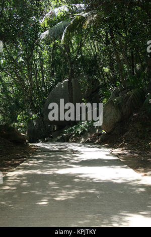 Sentier en forêt, l'île de La Digue, aux Seychelles. Banque D'Images