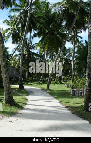 Palmiers et de pelouse sur sentier, La Digue, Seychelles. Banque D'Images