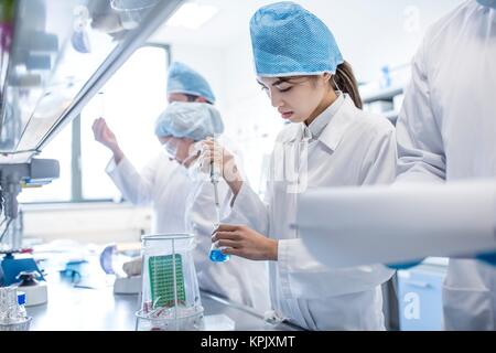 Les scientifiques qui travaillent dans le port de vêtements de laboratoire. Banque D'Images