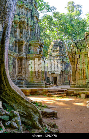 Les belles ruines des temples de Ta Prohm Banque D'Images