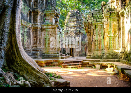 Les belles ruines des temples de Ta Prohm Banque D'Images