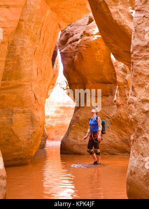 Un aventurier femme admirant la hauteur de la fente canyon elle est entourée d'eau ; à Hanksville, Utah, États-Unis d'Amérique Banque D'Images